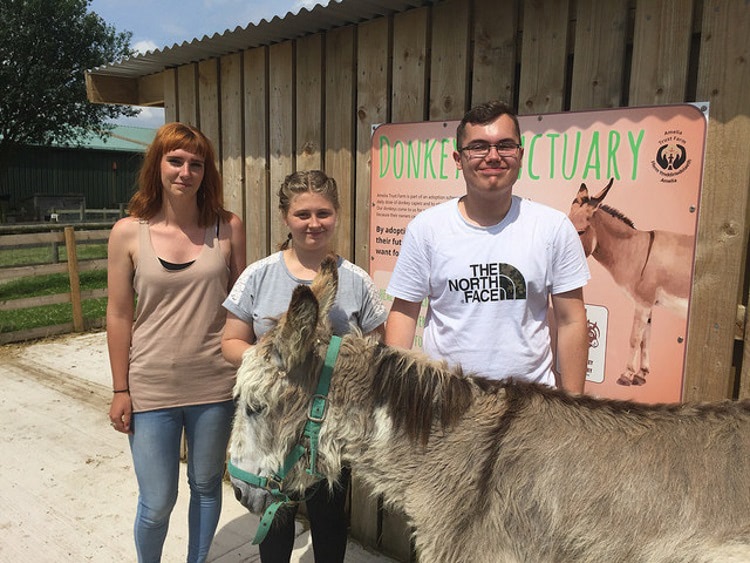 Jade Ashill and Mason Miller take care of the donkeys with Charlotte from Amelia Trust Farm