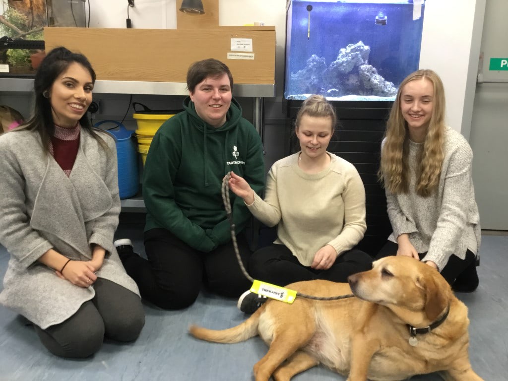 FE News | Students go the distance to study Animal Care