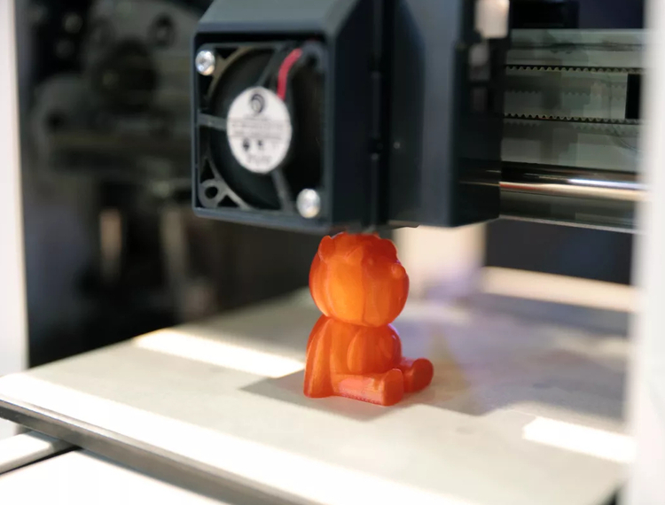 3D Printed Bear