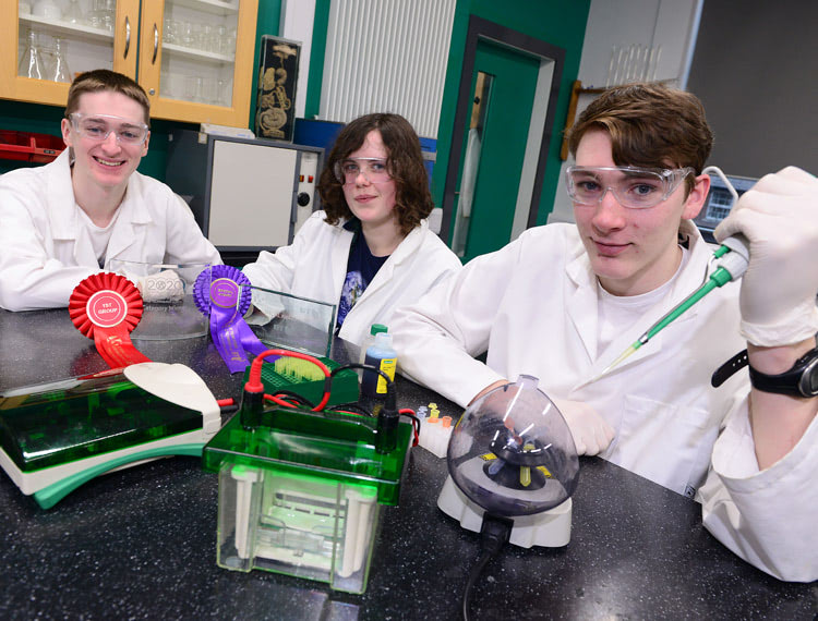BTYS Winners South Eastern Regional College Level 3 Applied Science second year students Ben Gibson (Lisburn), Jamel Donald (Belfast) and Caoimhe Clugston (Lisburn) were awarded First Place in the Biological and Ecological Sciences Senior Group category at the BT Young Scientist Competition 2020 for their investigation which looked at whether cigarette smoke extract will cause an increase in inflammatory markers and glucose within the cells. The team were also awarded Northern Ireland Best Project.