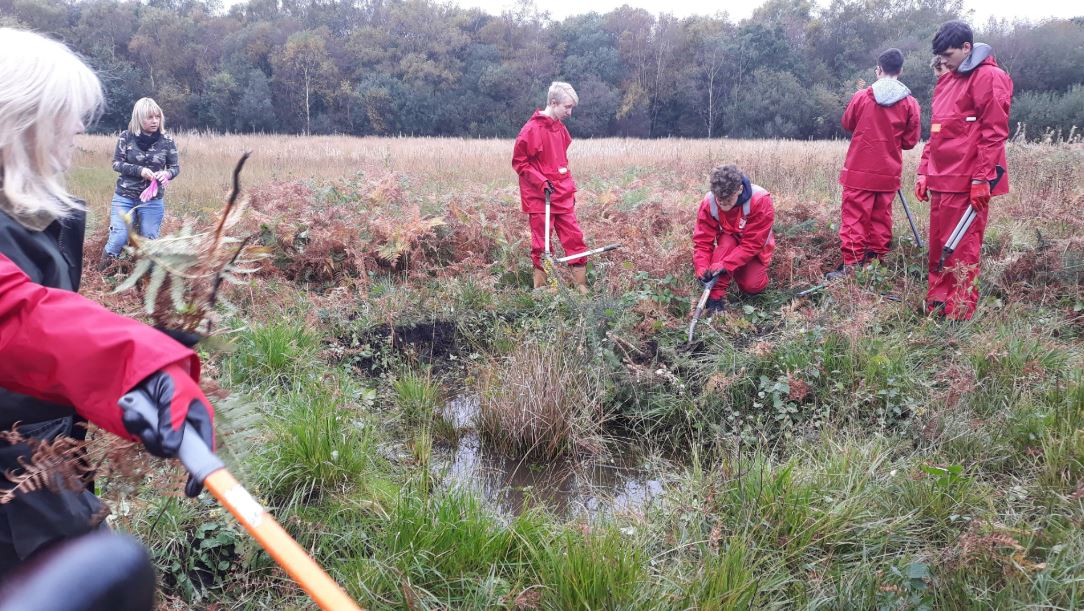 College learners create wildlife pond for community