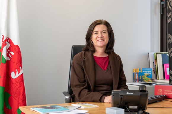 Minister for Mental Health and Wellbeing Eluned Morgan