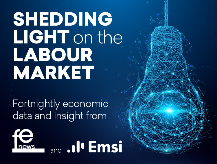 Shedding Light on the Labour Market
