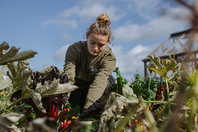 Horticultural Training