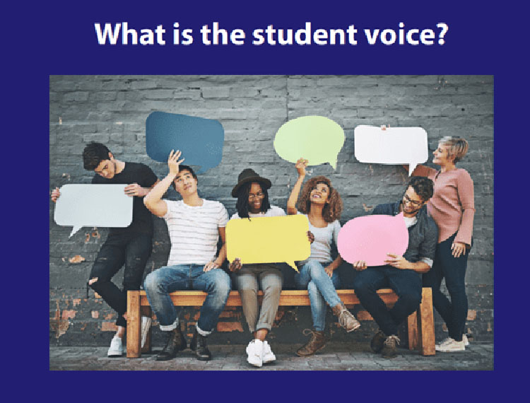 What is the student voice? Thirteen essays on how to listen to students and how to act on what they say