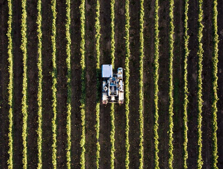 Tractor in field