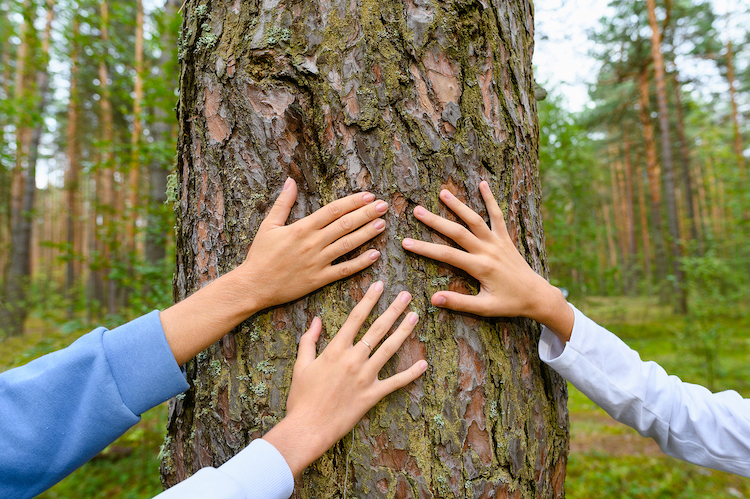people touching a tree