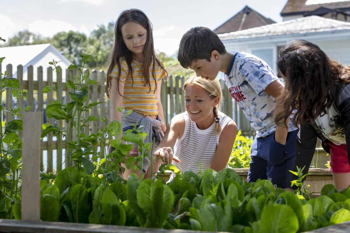 children and teacher looking at planted vegetables