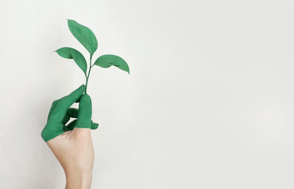 Hand with green on holding a green plant