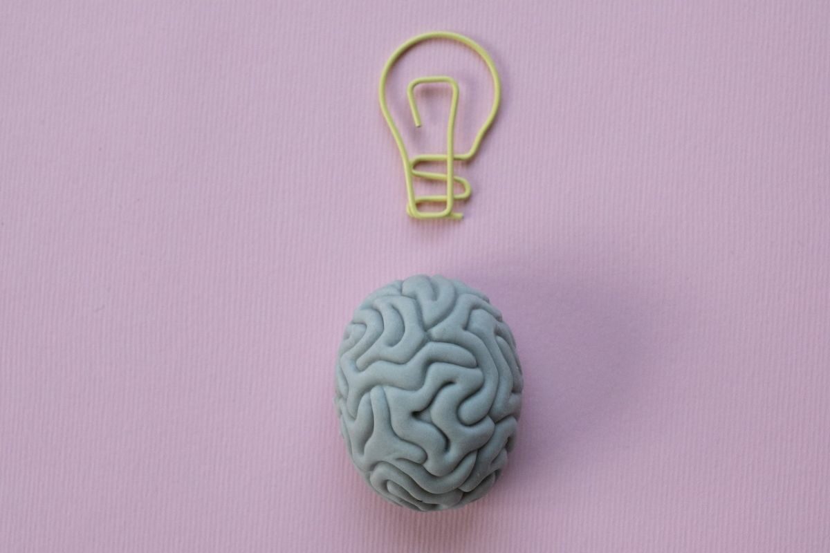 brain and light bulb