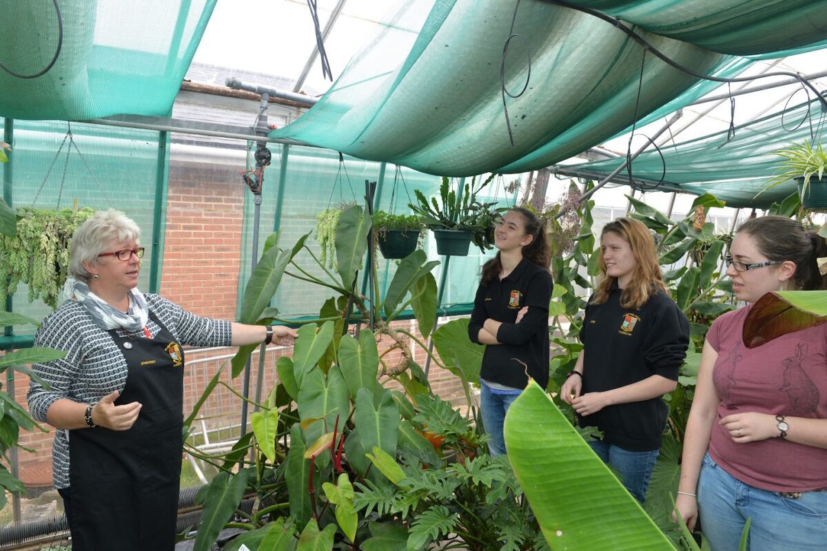 Teacher and students in greenhouse with plants