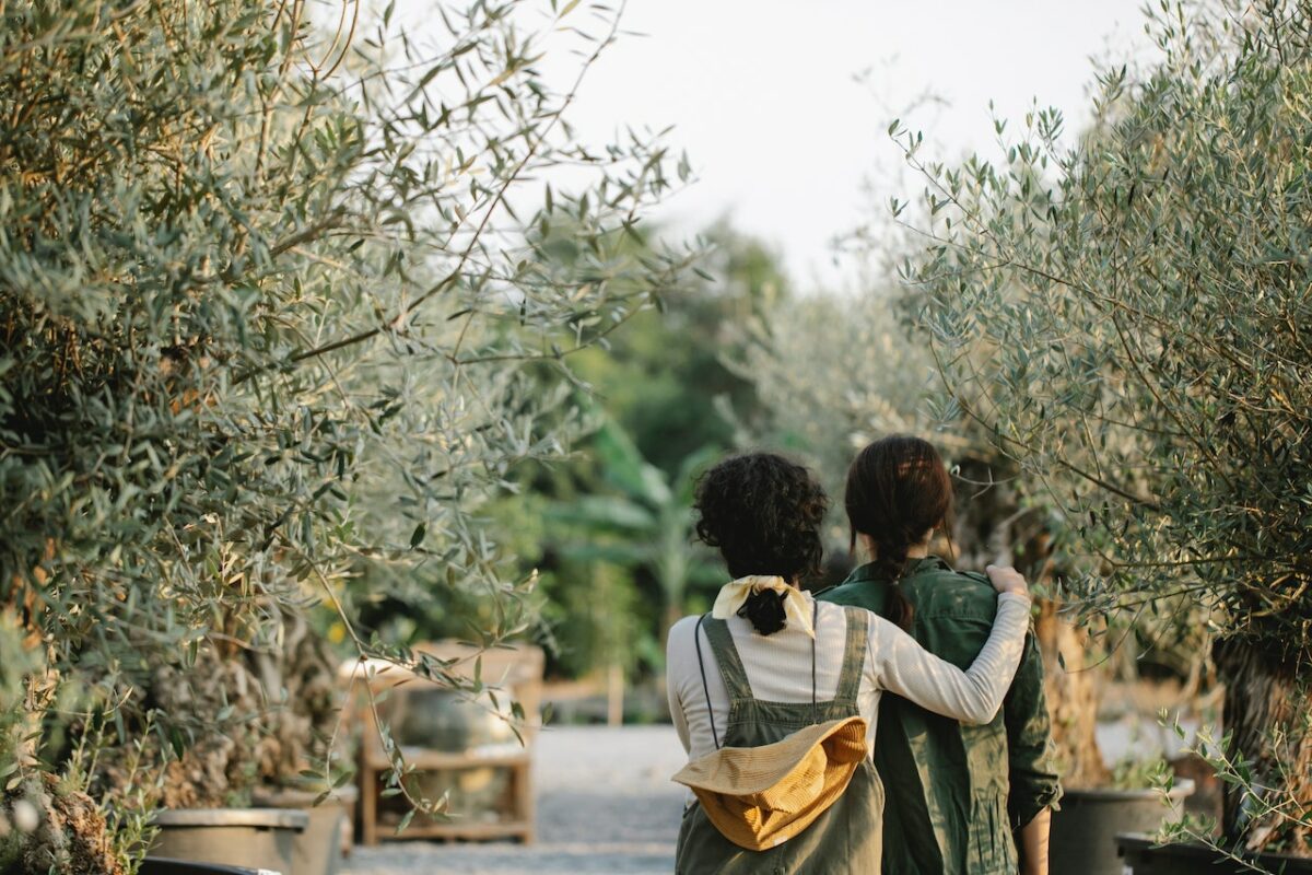 two people walking away from camera