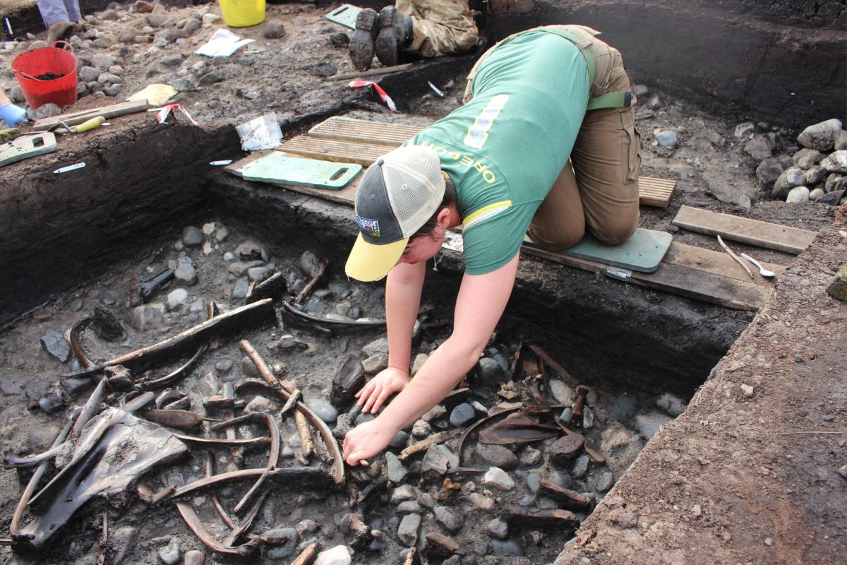 FE News | Archaeologists shed light on the lives of Stone Age hunter ...