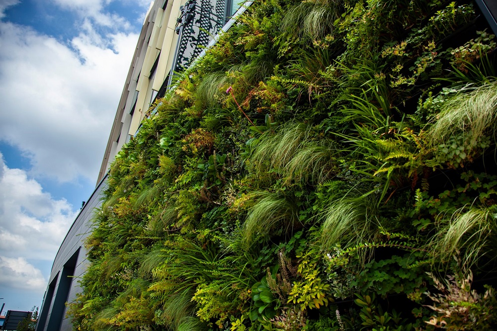 The living wall at Leeds City College's Quarry Hill campus