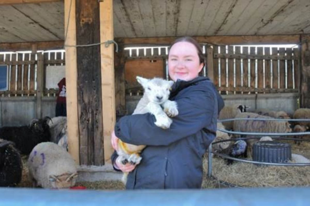 A Higher Education Animal Management Foundation Degrees student with one of the lambs.