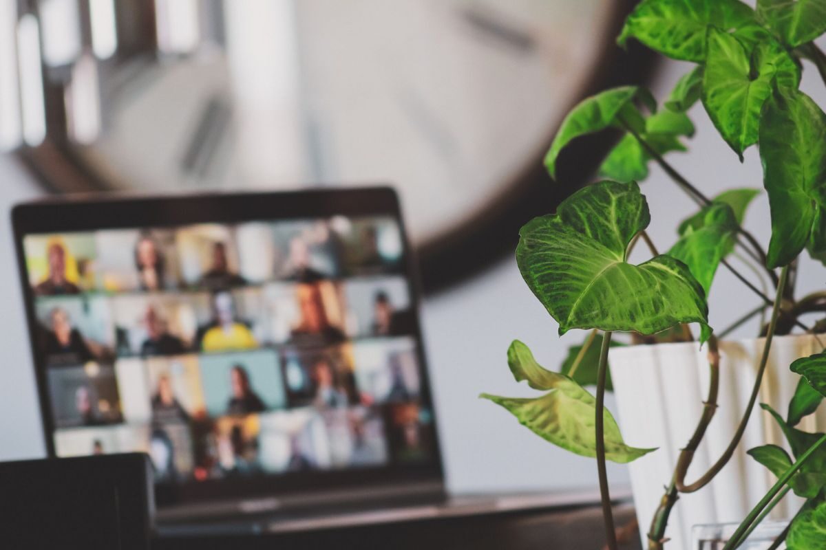 blurred image of a laptop and plant as focal point