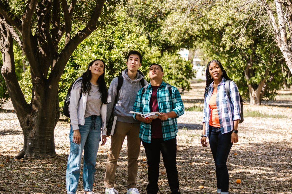 Students stood in a group