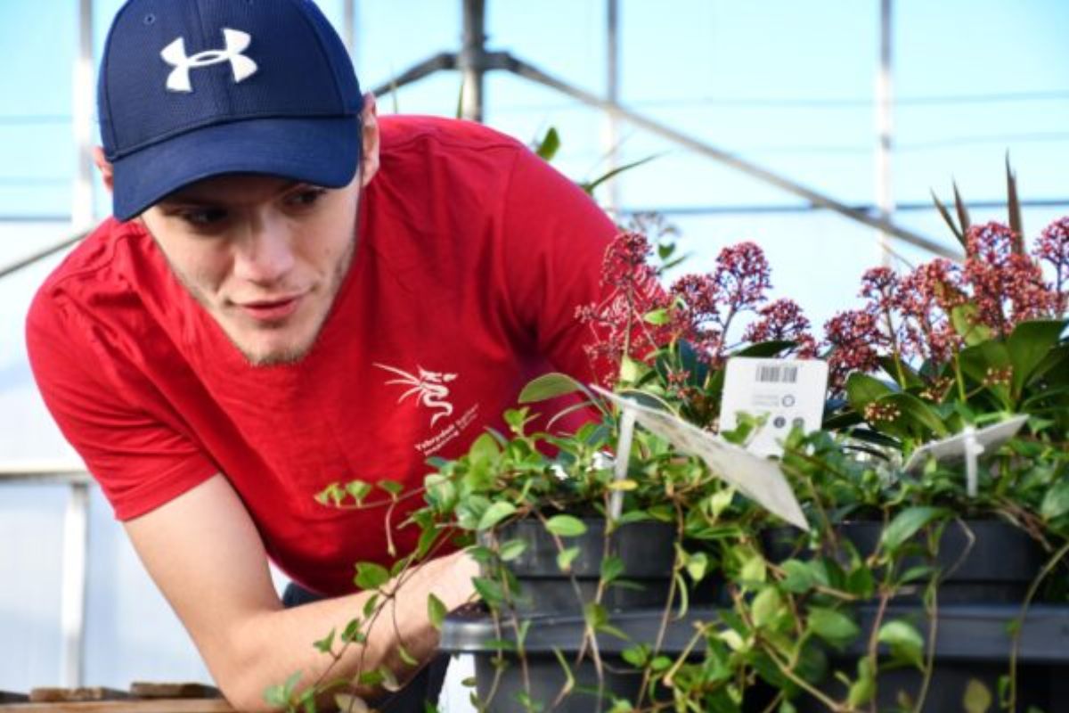 guy looking at plants