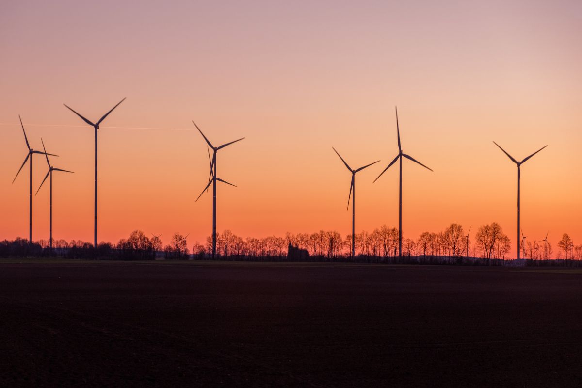 wind turbines in the sunset