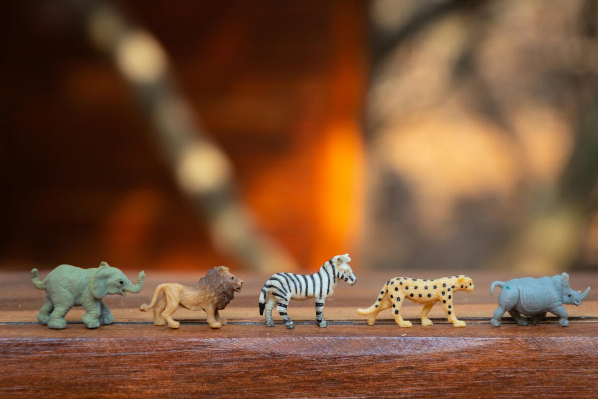 Toy animals in a line