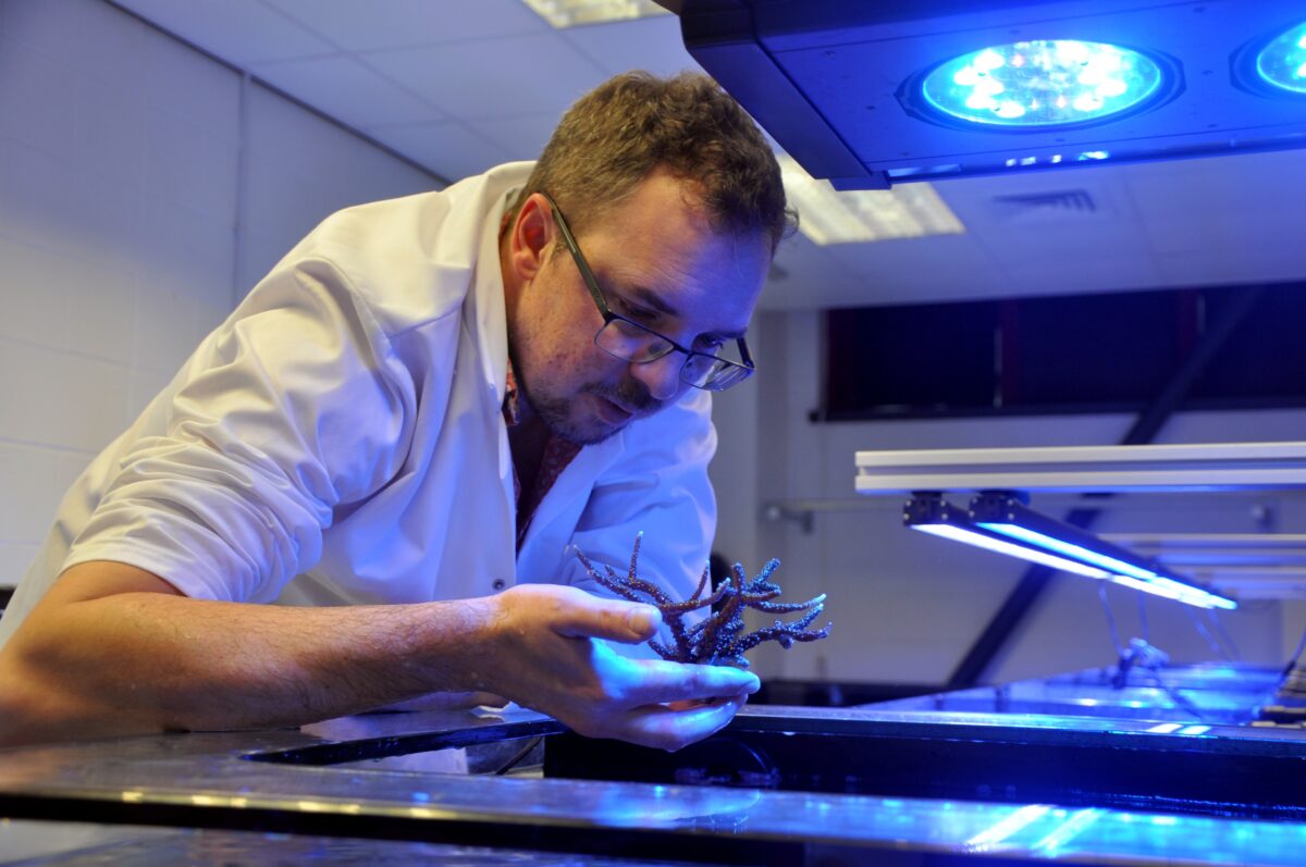 Professor Michael Sweet, University of Derby