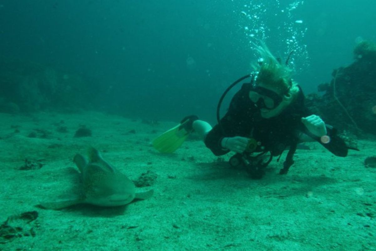 A woman in diving gear looking at a sea creature on the sea floor.