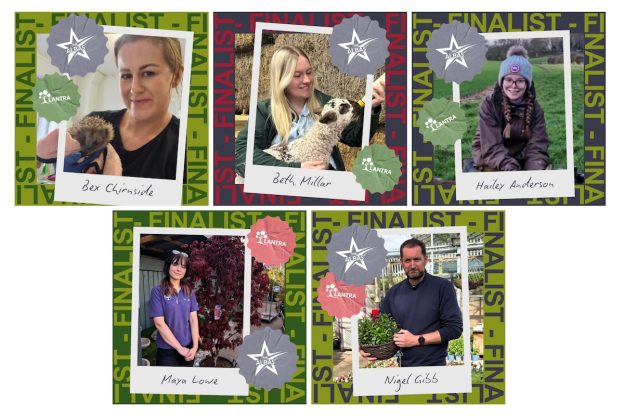 Collage of graphics showing Borders College ALBAS 26 finalists