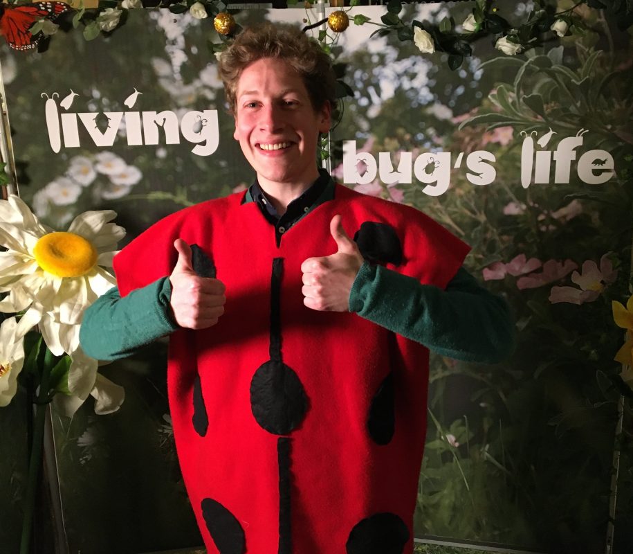 a man is dressed as a ladybird as he promotes his song called two spot ladybird