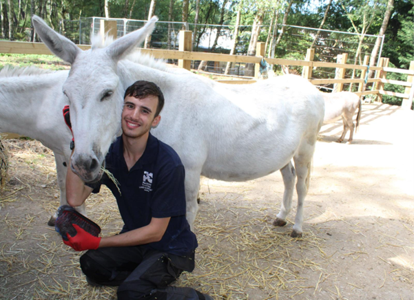 A young boy wearing a dark blue polo, hugging a white donkey