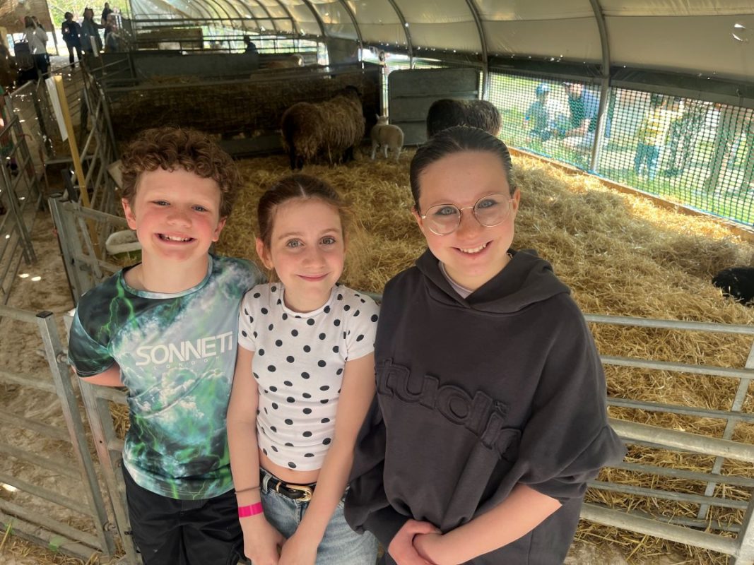 Oaklands lambing weekend