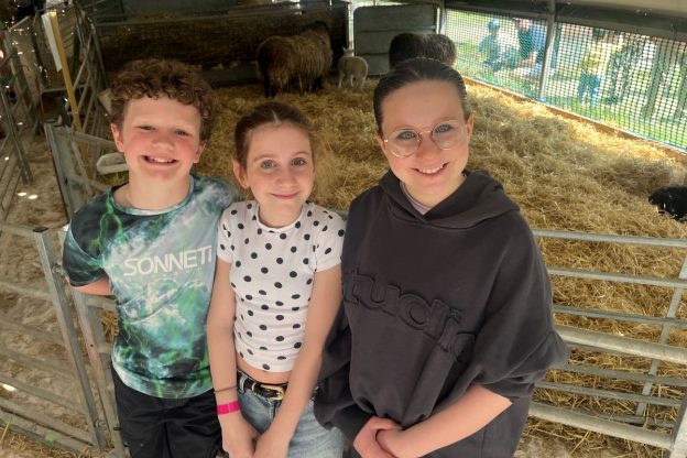 Oaklands lambing weekend