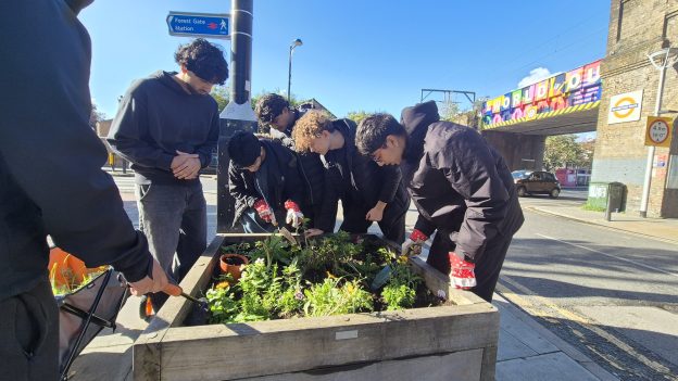 A group engaged in a community garden project