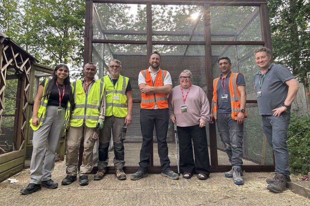 Bumblebee the Owl gets a new home fe news