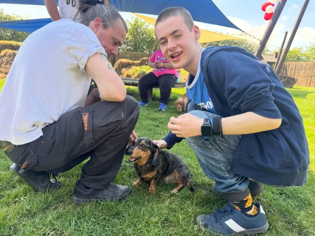 From Fear to Purpose: Enfield Student Who Once Crossed the Road to Avoid Dogs Now Calls a Dog Hotel His “Workplace”