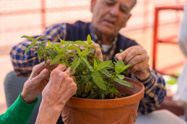 Bupa is supporting the new wellbeing roof garden at University of Salford