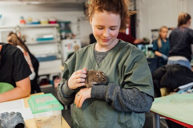 The Sheffield College offers T Levels in 11 subject areas including animal care. Photo credit: Helena Dolby.