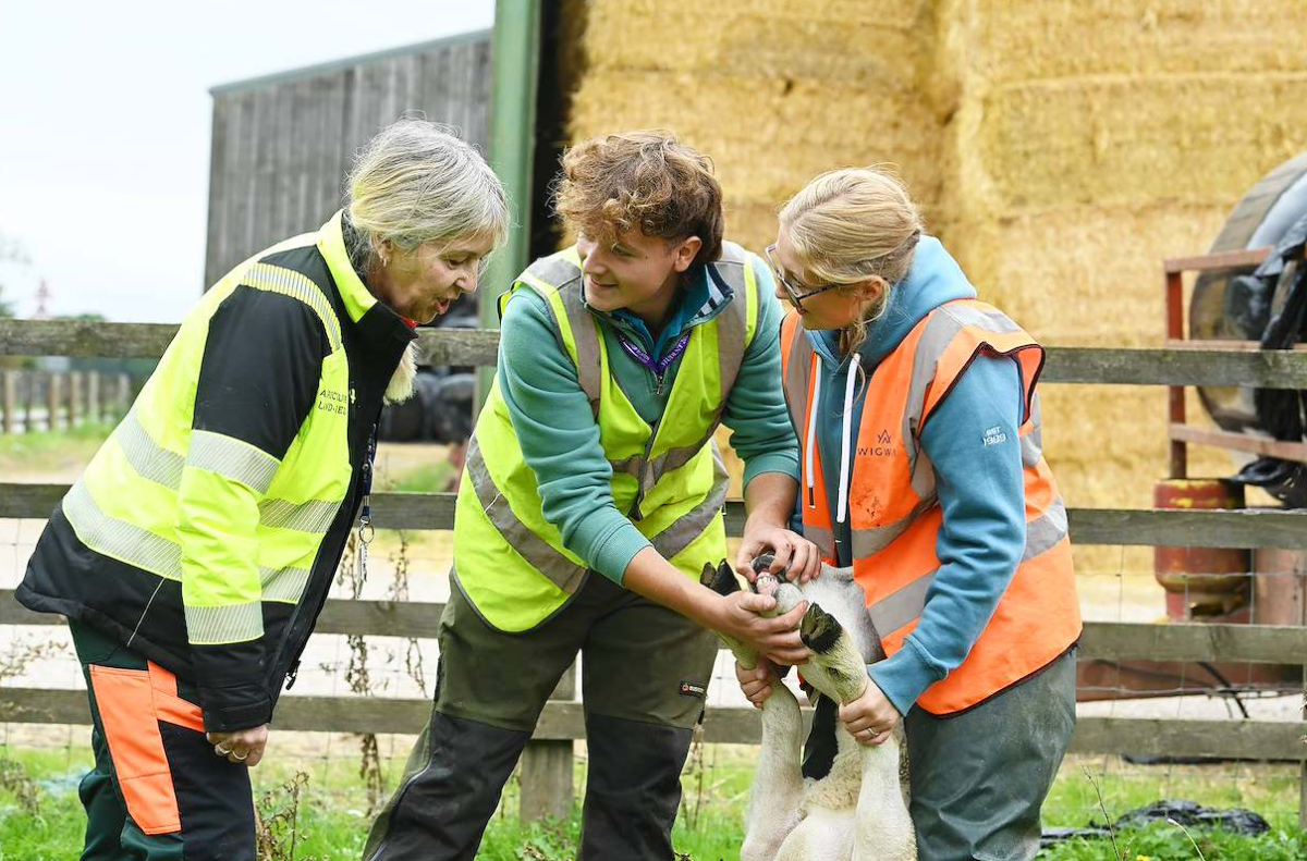 Students at Bishop Burton College develop practical skills in subjects including agriculture.