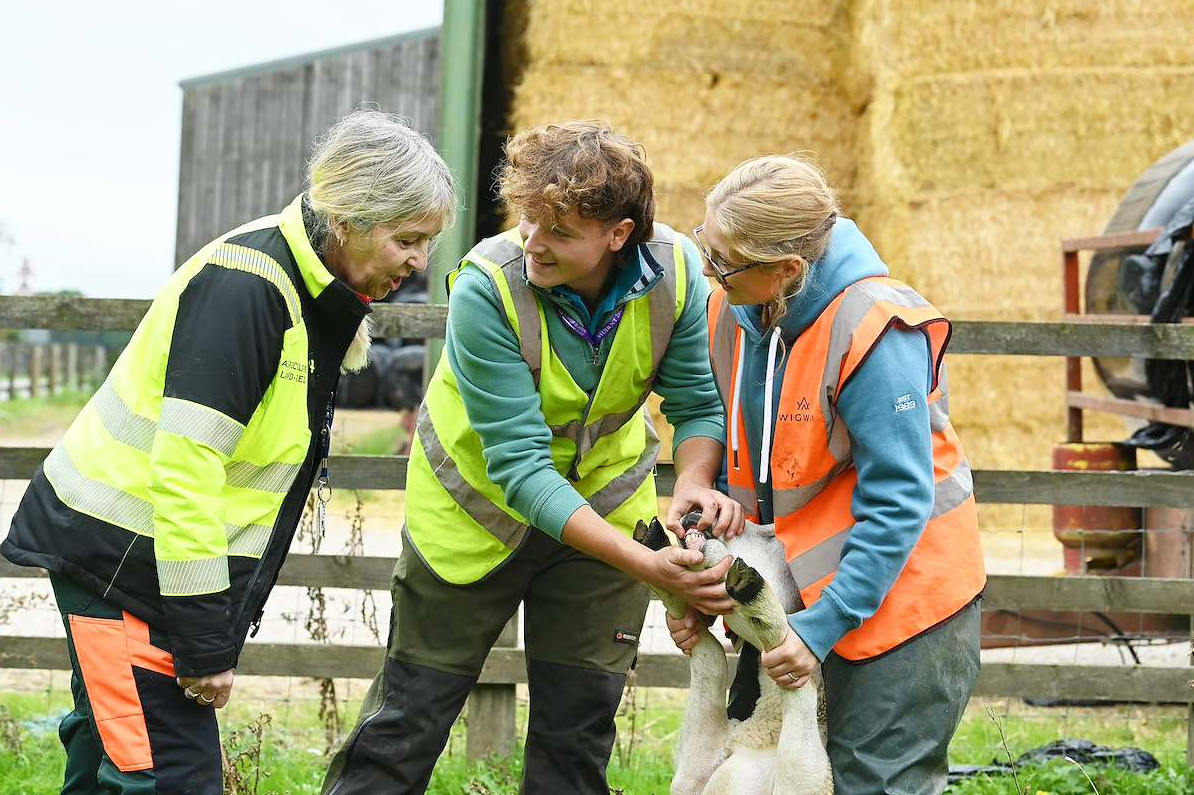 ‘AI can't deliver a lamb': National survey shows students and parents turning to hands-on careers