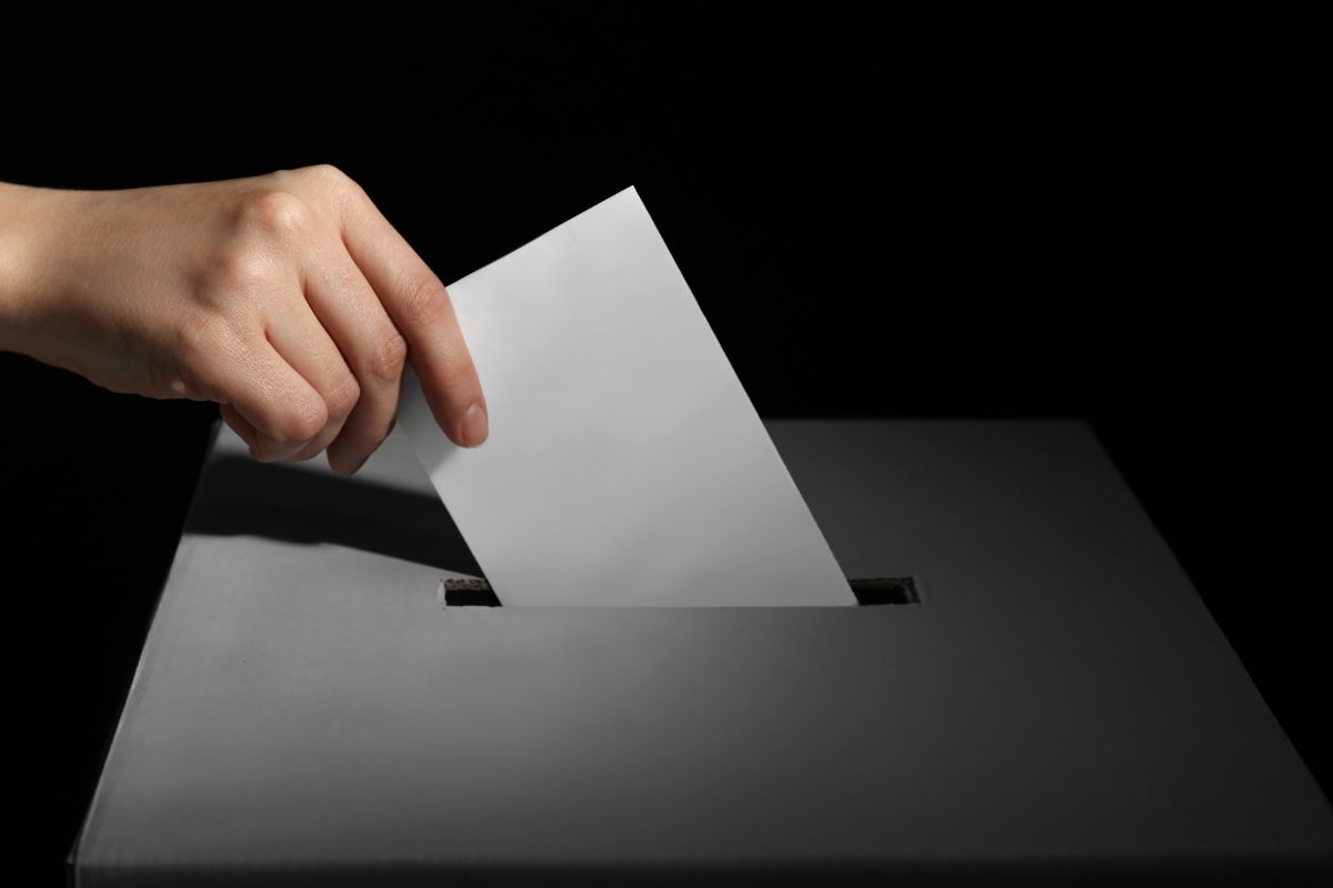 Vote stock image