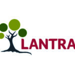 Profile photo of Lantra